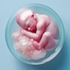 Knee Replacement Icon